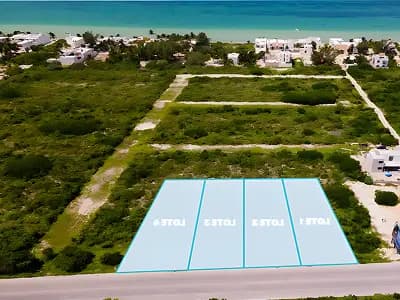 KM 23.5 — Chicxulub Puerto