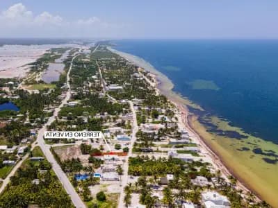 San Crisanto